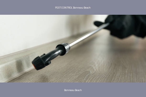 PEST CONTROL Bonneau Beach